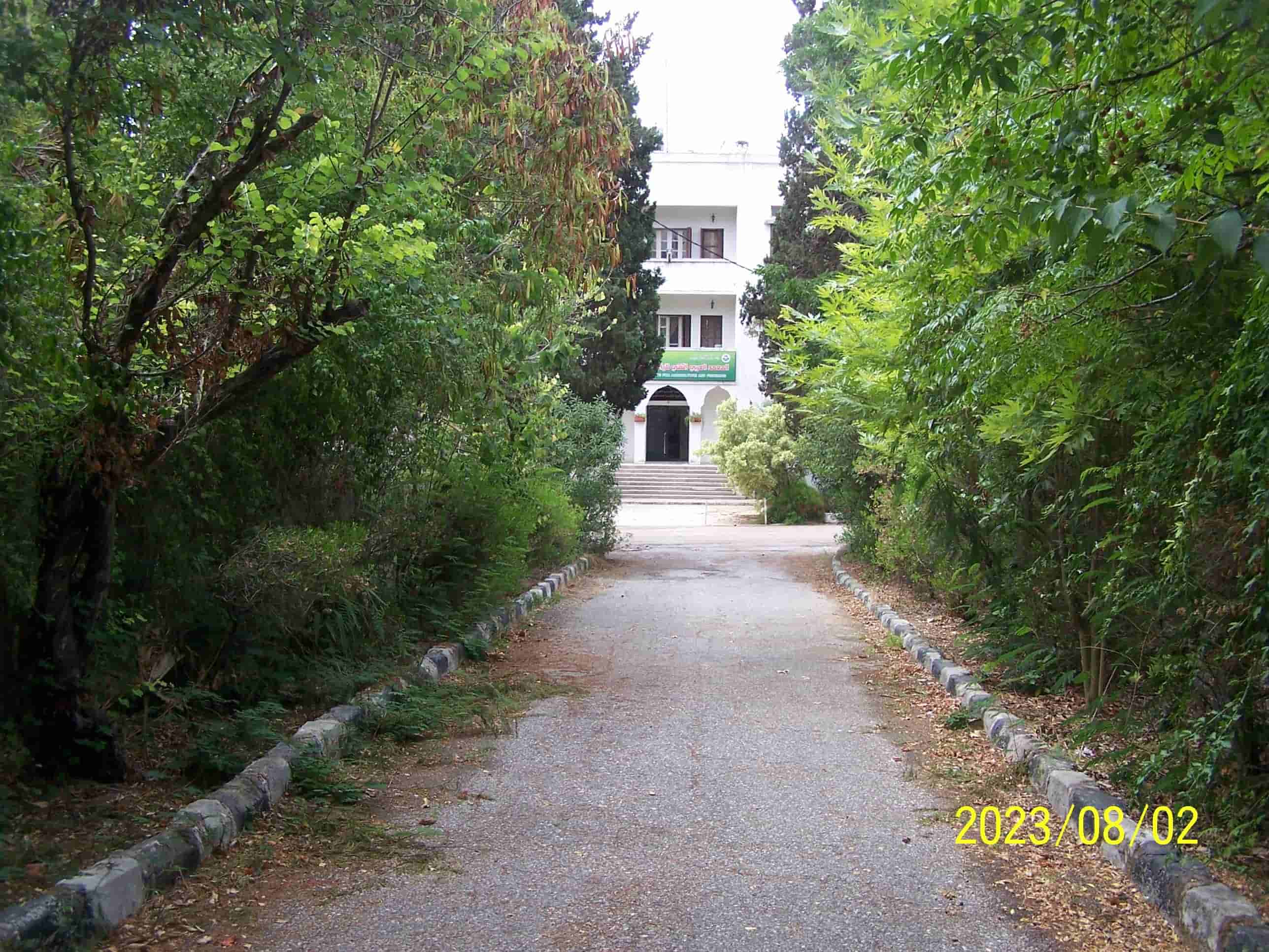 Photo 14