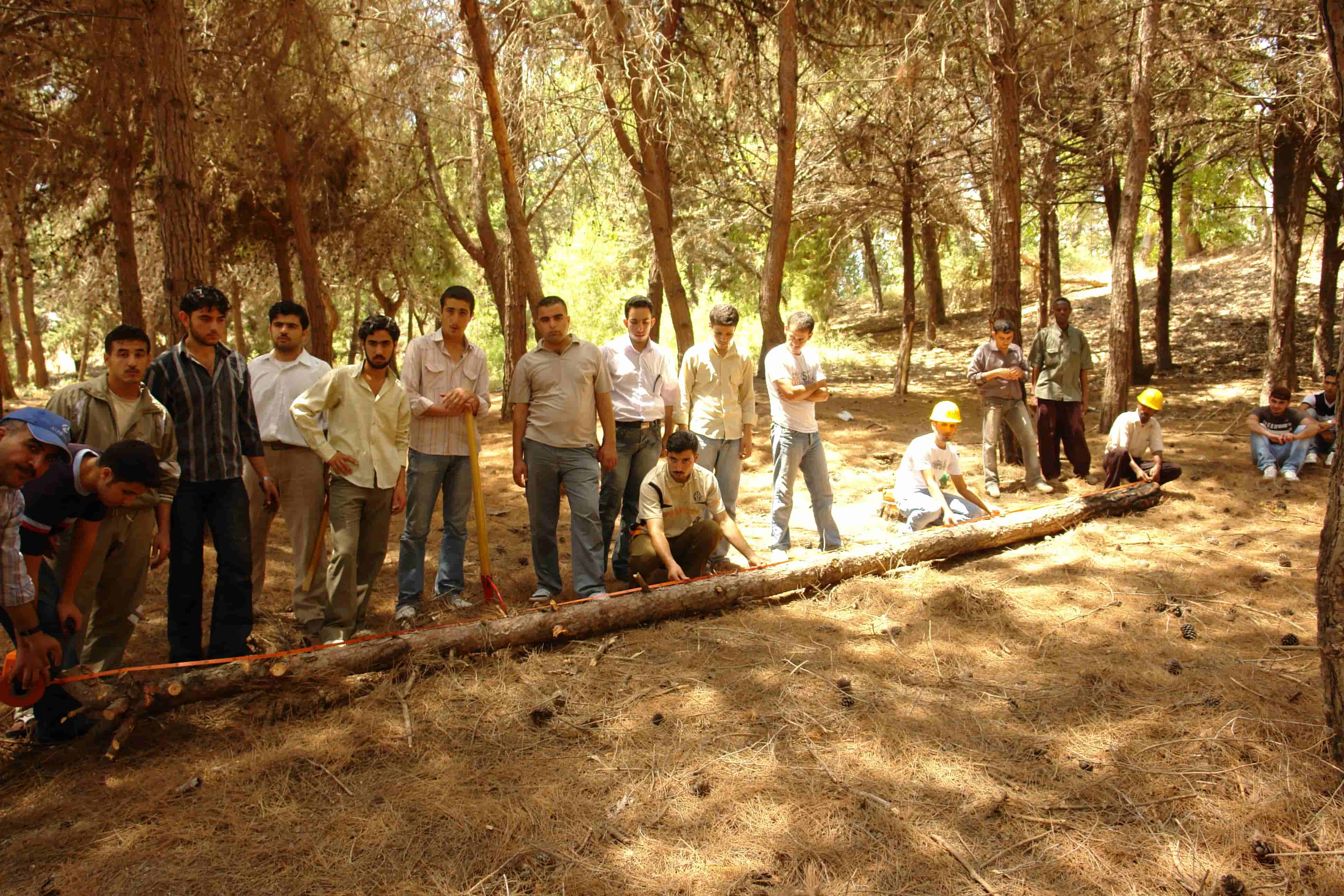 Photo 5